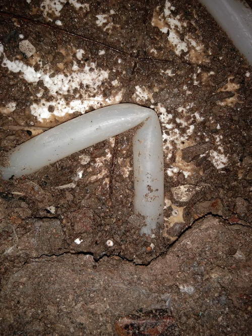 美姑堵点精准查找